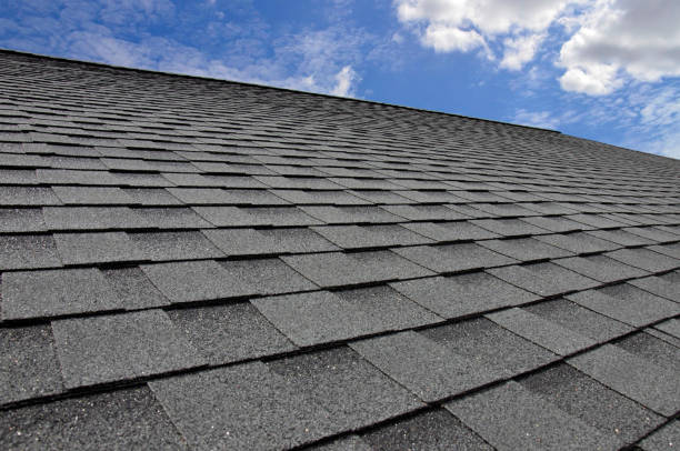 Professional Roofing in Rogers, MN